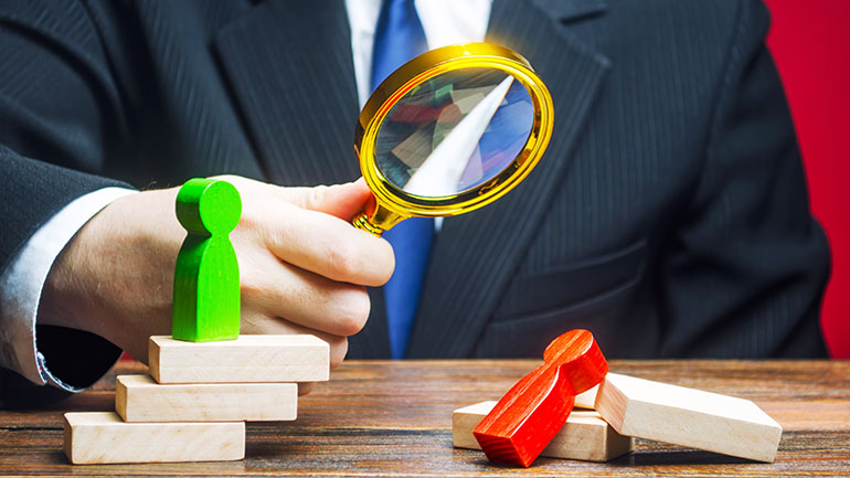competitor Austin Digital Design Agency|Leading Digital Design & SEO Agency in New Zealand